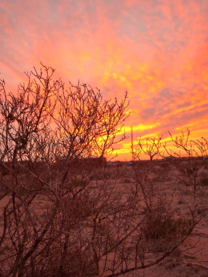 Tortoise Trail Lodge Langebaan Eksteriør bilde